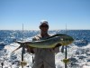 exmouth dolphinfish